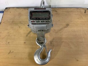 Steinberg Systems crane scales